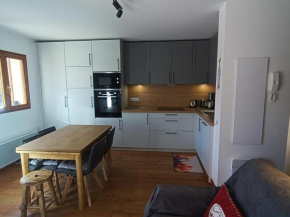 Studio rénové plein sud, terrasse-jardinet, 4 pers, proche pistes et commerces, stationnement privé. - FR-1-445-204